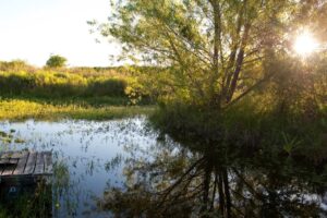 RNRPA - senderos del monte Gualeguaychu - ER