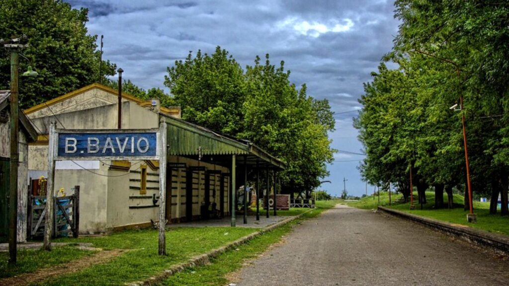 bavio
