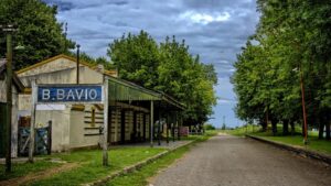 bavio