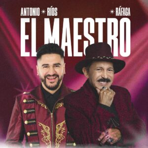 el maestro