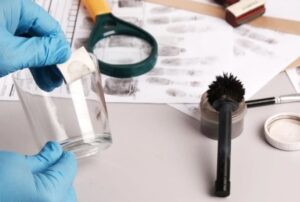 ciencia