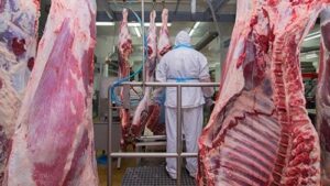 carne