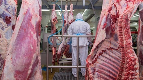 carne